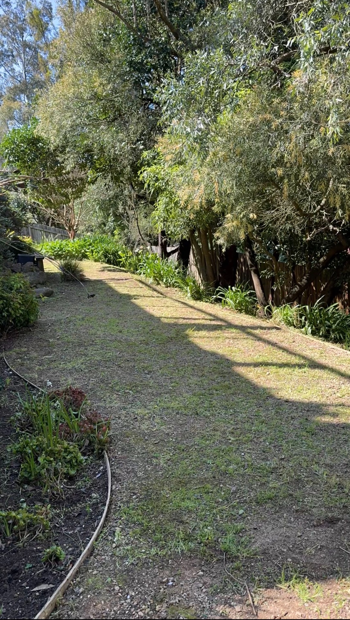 Garden after a Garden Girl Co clean-up
