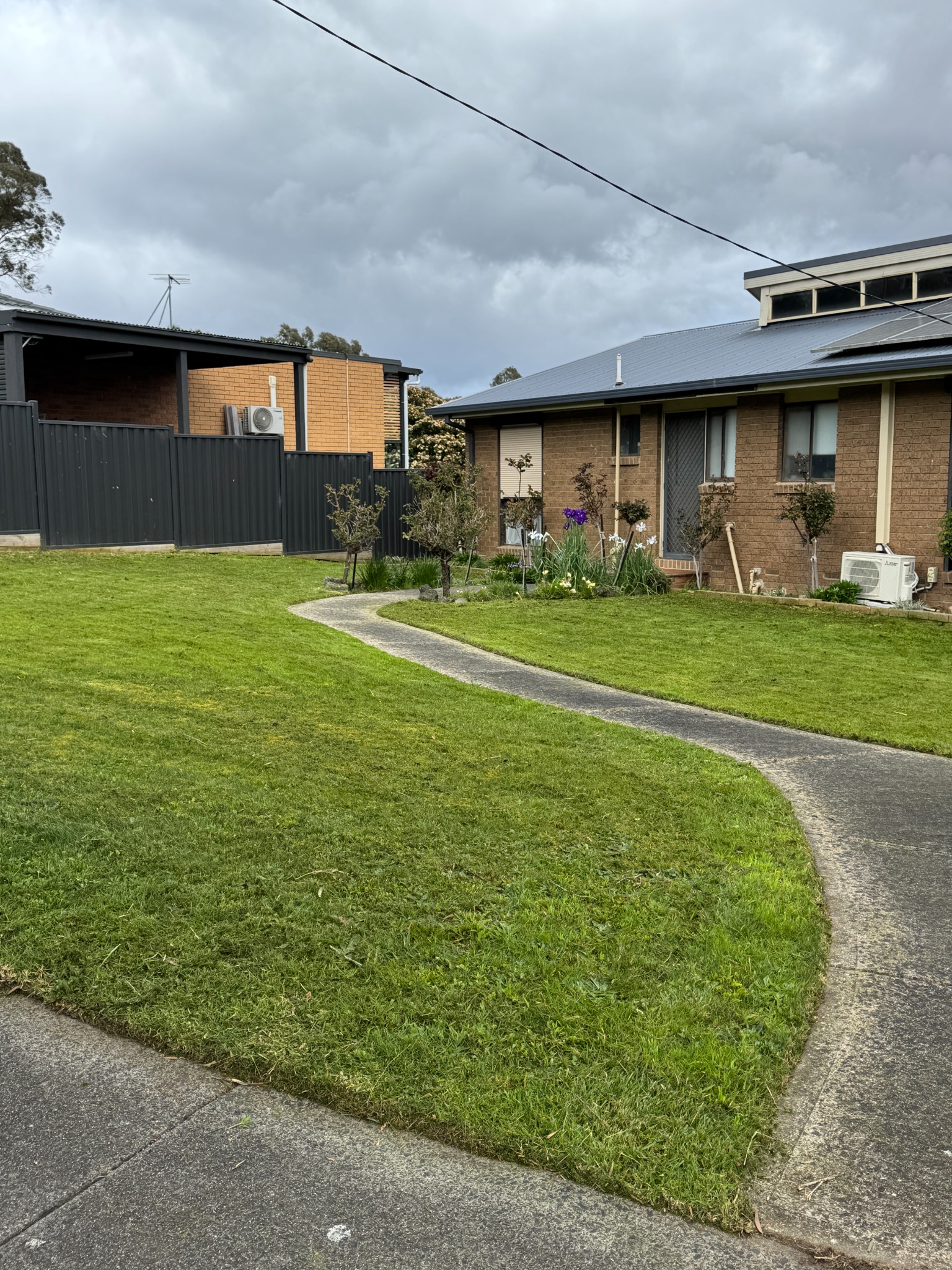 Freshly mown lawn surrounding a garden bed